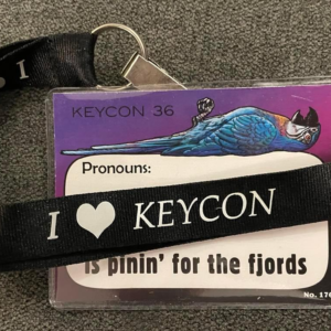 Keycon 41 - Full Weekend Membership (12 years and up) - (After April 30)